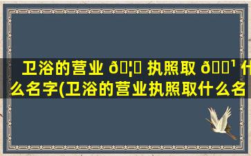 卫浴的营业 🦊 执照取 🌹 什么名字(卫浴的营业执照取什么名字比较好)
